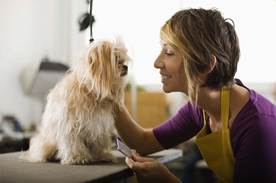 a woman holding a dog