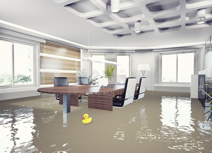 Flooded Conference Room